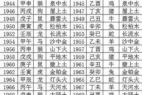 2024年什么命|2024年五行属性表 2024年五行属金还是水